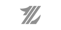 Visa partner logo